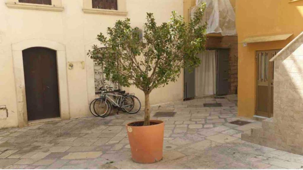 Corte32 Bari Exteriér fotografie
